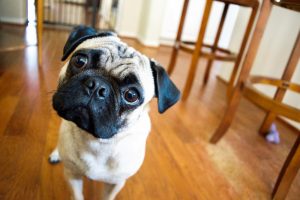 Read more about the article Myth buster: do weekly repayments pay off an offset loan faster?